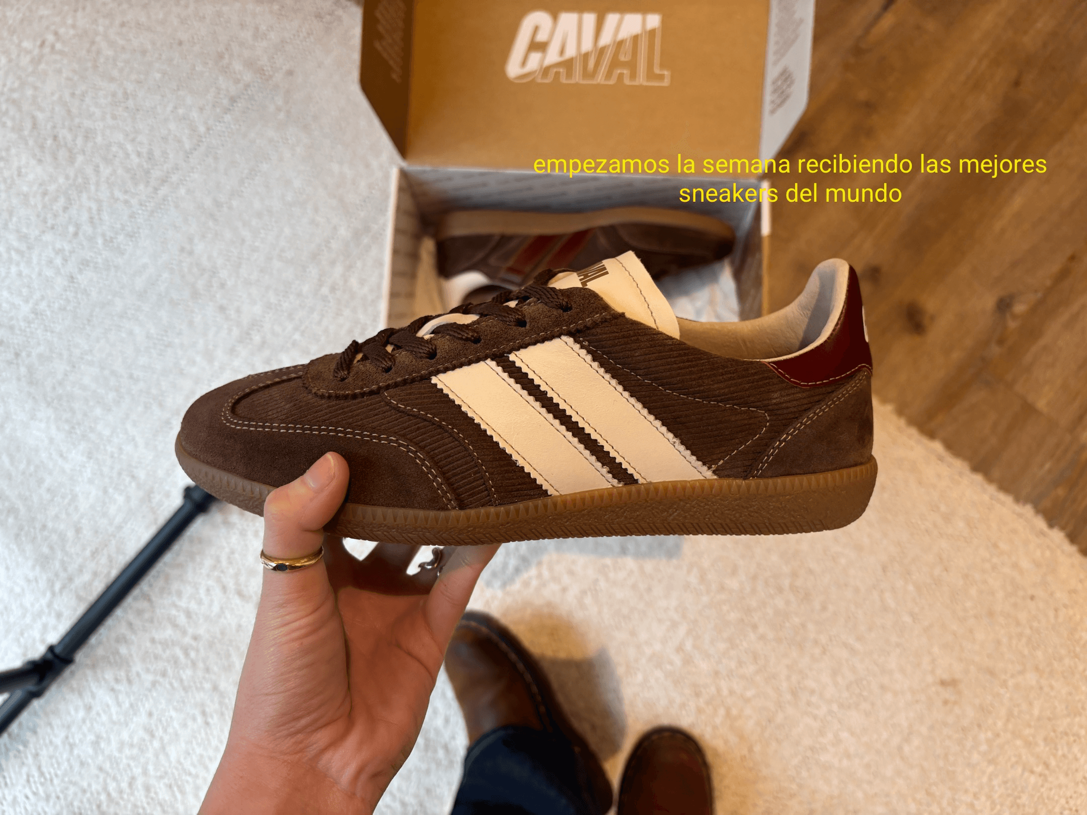 Cuatro Islas — contenido 6